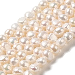 Natural Cultured Freshwater Pearl Beads Strands, Two Sides Polished, Grade 6A+, PapayaWhip, 5.5~6.5x7~7.5x5.5~6mm, Hole: 0.5mm, about 55~56pcs/strand, 13.78~13.98 inch(35~35.5cm)(PEAR-E017-06)