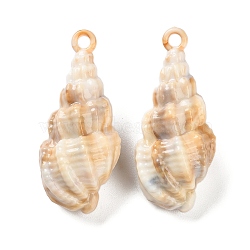 Opaque Acrylic Pendants, Imitation Gemstone, Spiral Shell Shape, Tan, 45x20x17mm, Hole: 3mm, about 98pc/500g(OACR-U004-06C)