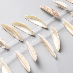 Natural Freshwater Shell Beads Strands, Ship, White, 23~43.5x5~13x3.5~7mm, Hole: 1.2mm, about 24pcs/strand, 15.75 inch(40cm)(SHEL-C001-02)