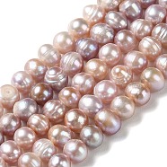Natural Cultured Freshwater Pearl Beads Strands, Potato, Grade A, Thistle, 6~8.5x6.5~7.5mm, Hole: 0.7mm, about 52pcs/strand, 13.86''(35.2cm)(PEAR-E018-19A)
