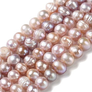 Natural Cultured Freshwater Pearl Beads Strands, Potato, Grade A, Thistle, 6~8.5x6.5~7.5mm, Hole: 0.7mm, about 52pcs/strand, 13.86''(35.2cm)