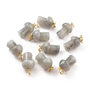 Natural Labradorite Pendants, with Platinum Tone Brass Findings, Mushroom, 33mm(G-M380-C10-P)