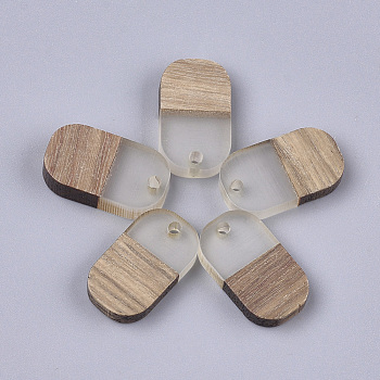 Resin & Walnut Wood Pendants, Oval, Clear, 20.5x11.5x3mm, Hole: 2mm
