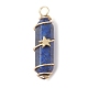 Natural Lapis Lazuli Copper Wire Wrapped Pointed Pendants(PALLOY-JF02461-03)-1