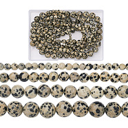 4 Strands 4 Style Natural Dalmatian Jasper Beads Strands, Round, 4~10.5mm, Hole: 0.8~1.2mm, about 36~96pcs/strand, 15.5 inch(39.37cm), 1 strand/style(G-YS0001-06)