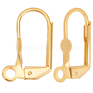 50Pcs Brass Leverback Earring Findings, with Horizontal Loops, Golden, 16.5x11x4mm, Pin: 0.7mm, Hole: 1.8mm(KK-BBC0003-68)