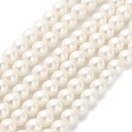 AB Color Plated Shell Pearl Round Beads Strands, Polished, Seashell Color, 4.5x4mm, Hole: 0.8mm, about 103pcs/strand, 16.22''(41.2cm)(BSHE-XCP0001-31)