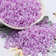 Glass Seed Beads, Opaque Colours Luster, Peanut, Orchid, 6x3x3mm, Hole: 1.2mm, about 6250pcs/pound(SEED-K009-02B-14)