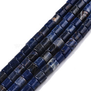 Natural Sodalite Beads Strands, Column, 5.5~8x6mm, Hole: 1mm, about 64pcs/strand, 14.57 inch(37cm)(G-N326-150-B03)