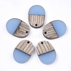 Resin & Wenge Wood Pendants, Oval, Cornflower Blue, 25x18x3~4mm, Hole: 2mm(RESI-T023-01F-1)