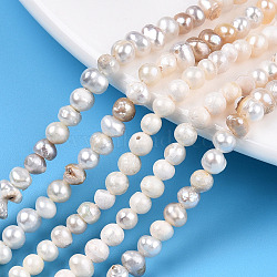 Natural Cultured Freshwater Pearl Beads Strands, Potato, Seashell Color, 3.5~6.5x3~4.5mm, Hole: 0.5mm, about 90~94pcs/strand, 13.58 inch~13.98 inch(34.5cm~35.5cm)(PEAR-N013-03E)