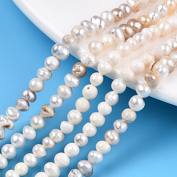 Natural Cultured Freshwater Pearl Beads Strands, Potato, Seashell Color, 3.5~6.5x3~4.5mm, Hole: 0.5mm, about 90~94pcs/strand, 13.58 inch~13.98 inch(34.5cm~35.5cm)