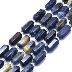 Natural Sodalite Beads Strands, Faceted, Double Terminated Pointed/Bullet, 25~27x13~15x12~13mm, Hole: 1.2mm, about 12~13pcs/strand, 15.35 inch(39cm)(G-F715-060)