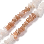 Natural Multi-Moonstone Beads Strands, Chip, 6~14x4~8x2~7mm, Hole: 1mm, about 15.75~16.14 inch(40~41cm)(G-L610-A12-02)