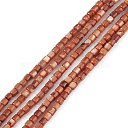 Natural Freshwater Shell Dyed Beads Strands, Cube, Sienna, 3~3.5x3~3.5mm, Hole: 0.8mm, about 108pcs/strand, 14.96''(38cm)(SHEL-M018-14-02)