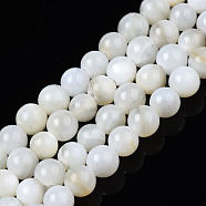 Natural Freshwater Shell Beads Strands, Dyed, Round, Ghost White, 2.5~3.5mm, Hole: 0.5~0.6mm, about 122~136pcs/strand, 14.57 inch~15.63 inch(37cm~39.7cm)(X-BSHE-T009A-01A)
