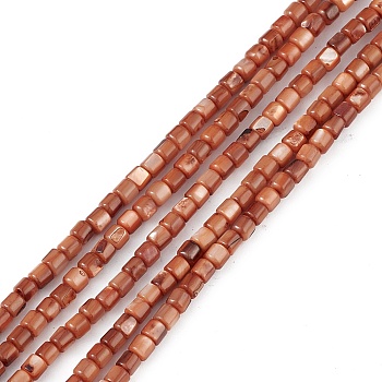 Natural Freshwater Shell Dyed Beads Strands, Cube, Sienna, 3~3.5x3~3.5mm, Hole: 0.8mm, about 108pcs/strand, 14.96''(38cm)