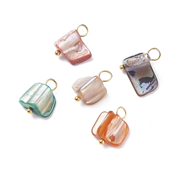Natural Dyed Shell Charms, with Golden Tone Brass Loops, Irregular Shapes, Mixed Color, 13~14x7~13x5~10.5mm, Hole: 3~3.5mm