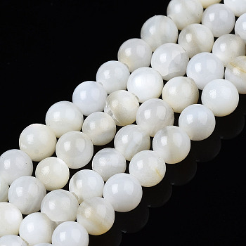 Natural Freshwater Shell Beads Strands, Dyed, Round, Ghost White, 2.5~3.5mm, Hole: 0.5~0.6mm, about 122~136pcs/strand, 14.57 inch~15.63 inch(37cm~39.7cm)