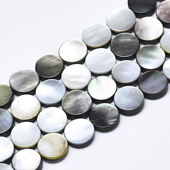 Natural Black Lip Shell Beads, Flat Round, 10x3.5mm, Hole: 0.6mm