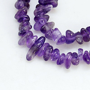 Natural Amethyst Beads Strands, Chips, Purple, 2.5~7x3~11mm, Hole: 1mm, 34 inch(X-G-D283-3x5-7)