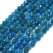 Natural Apatite Beads Strands, Faceted, Round, 2.5~3mm, Hole: 0.5mm, about 138~142pcs/strand, 15.35~15.55 inch(39~39.5cm)(G-G106-C06-02)