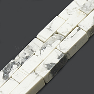 Natural Howlite Beads Strands, Cuboid, 20~21x8~8.5x8~8.5mm, Hole: 1mm, about 19pcs/strand, 15.5 inch(G-S300-68-8x20mm)