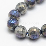 Electroplate Natural Labradorite Beads Strands, Round, Faceted, 14mm, Hole: 1mm, about 27pcs/strand, 15 inch(G-L150-14mm-01)