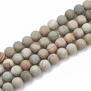 Natural Silver Leaf Jasper Beads Strands, Frosted, Round, 10mm, Hole: 1.2mm, about 37~40pcs/strand, 14.9~15.1 inch(38~38.5cm)(G-T106-236)