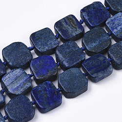 Natural Lapis Lazuli Beads Strands, Colored Wax, Rectangle, 15~19x16~18x5~9mm, Hole: 1.2mm, about 19~20pcs/strand, 15.94 inch~16.65 inch(40.5cm~42.3cm)(G-N326-03)