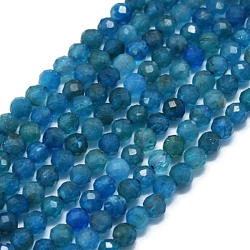 Natural Apatite Beads Strands, Faceted, Round, 2.5~3mm, Hole: 0.5mm, about 138~142pcs/strand, 15.35~15.55 inch(39~39.5cm)