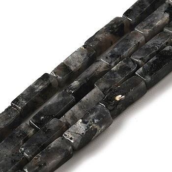 Natural Larvikite Beads Strands, Rectangle, 13~13.5x4~4.5x4~4.5mm, Hole: 1.2mm, about 29pcs/strand, 15.24''(38.7cm)