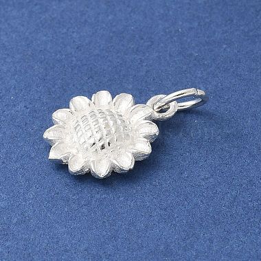 S925 Sterling Silver Charm(STER-H115-11C-S)-2