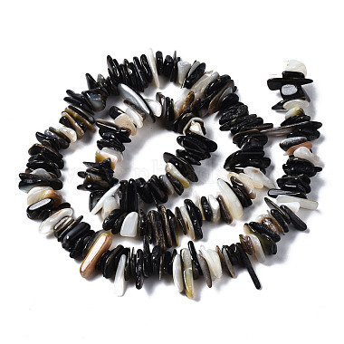 Natural Black Lip Shell Beads Strands(SSHEL-S266-010)-2