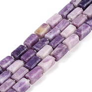 Natural Lepidolite Beads Strands, with Seed Beads, Faceted, Column, 13x8~9mm, Hole: 0.5mm, about 27pcs/strand, 15.51''~15.98''(39.4~40.6cm)(G-M403-B35-03)