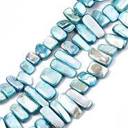 Natural Freshwater Shell Beads Strands, AB Color, Dyed, Nugget Stick, Sky Blue, 8~25x6~10x2~6mm, Hole: 0.5mm, about 46~49pcs/strand, 13.98 inch~14.56 inch(35.5~37cm)(SHEL-N026-123F)