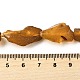 rohe(G-B125-C01-02)-5