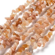 Natural Pink Aventurine Beads Strands, Chip, 4~12x3~5x1~4mm, Hole: 0.5mm, 16.06''(40.8cm)(X-G-E607-A13)