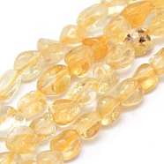 Natural Citrine Beads Strands, Tumbled Stone, Nuggets, 6~10x5~6.5x3~6mm, Hole: 1mm, about 15.55 inch(39.5cm)(G-P331-03A)