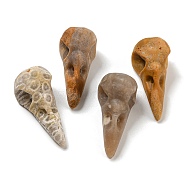 Natural Fossil Coral Pendants, Bird Head Skull Charms, 47~49x20~22x20~22mm, Hole: 2~2.5mm(G-M417-06C)