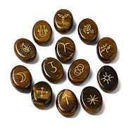 13Pcs Natural Tiger Eye Rune Stone, Healing Stone for Reiki Balancing, Oval, Divination Supplies, 20.5x15x6mm(G-C095-02E)