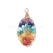 Chakra Natural Mixed Stone Chip Big Pendants, Natural Red Jasper & Red Aventurine & Howlite & Citrine & Amethyst & Green Aventurine & Lapis Lazuli, with Copper Wire Wrapped, Leaf, Mixed Dyed and Undyed, Champagne Gold, 61~64x29~30x9mm, Hole: 4.4~4.7mm(PALLOY-JF01662-01)