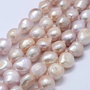Natural Cultured Freshwater Pearl Beads Strands, Potato, Misty Rose, 11~12x11~12x8~9mm, Hole: 0.2mm, about 30pcs/strand, 14.1 inch(PEAR-K004-05B-01)