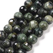 Natural Kambaba Jasper Beads Strands, Faceted(128 Facets), Round, 8mm, Hole: 1.2mm, about 46pcs/strand, 14.76''(37.5cm)(G-E571-04B)
