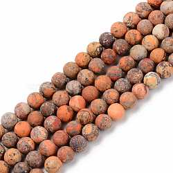 Natural American Turquoise Beads Strands, Frosted, Dyed & Heated, Round, Dark Orange, 6mm, Hole: 1mm, about 59~60pcs/strand, 15.16'(38.5cm)(G-S369-001B-A05)