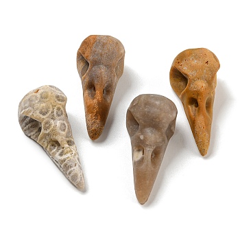 Natural Fossil Coral Pendants, Bird Head Skull Charms, 47~49x20~22x20~22mm, Hole: 2~2.5mm