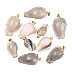 Brass & Natural Oliva Shell Pendants, Conch Charms, Light Gold, Rosy Brown, 23~42x12~25x11~20mm, Hole: 4~5x3.5mm(SHEL-Q029-22KCG)