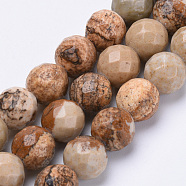 Natural Picture Jasper Beads Strands, Faceted, Round, 8mm, Hole: 1.2mm; about 45pcs/strand, 15.3inches(G-S281-01-8mm)
