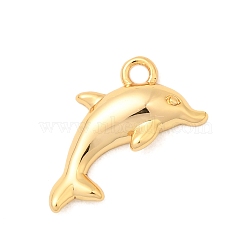 Brass Charms, Nickel Free, Real 18K Gold Plated, Dolphin, 11x14x2.5mm, Hole: 1.6mm(X-KK-C117-01A-G)