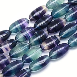 Natural Fluorite Beads Strands, Oval, 20x10x7mm, Hole: 1mm, about 20pcs/strand, 15.7 inch(40cm)(G-O170-96)